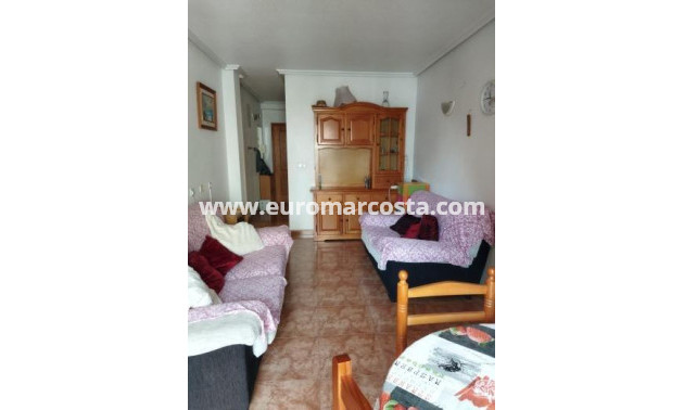 Venta - Apartamento / piso - Torrevieja - TORREVIEJA