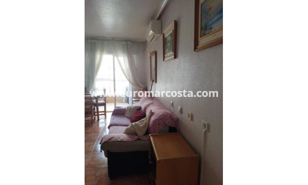 Venta - Apartamento / piso - Torrevieja - TORREVIEJA