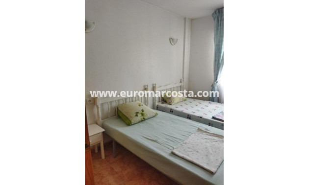 Venta - Apartamento / piso - Torrevieja - TORREVIEJA