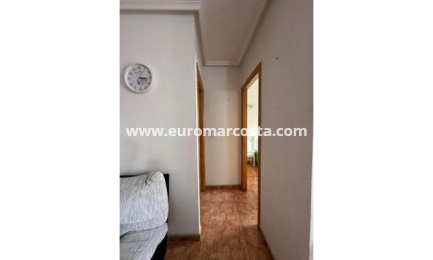 Venta - Apartamento / piso - Torrevieja - TORREVIEJA