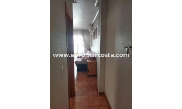 Venta - Apartamento / piso - Torrevieja - TORREVIEJA