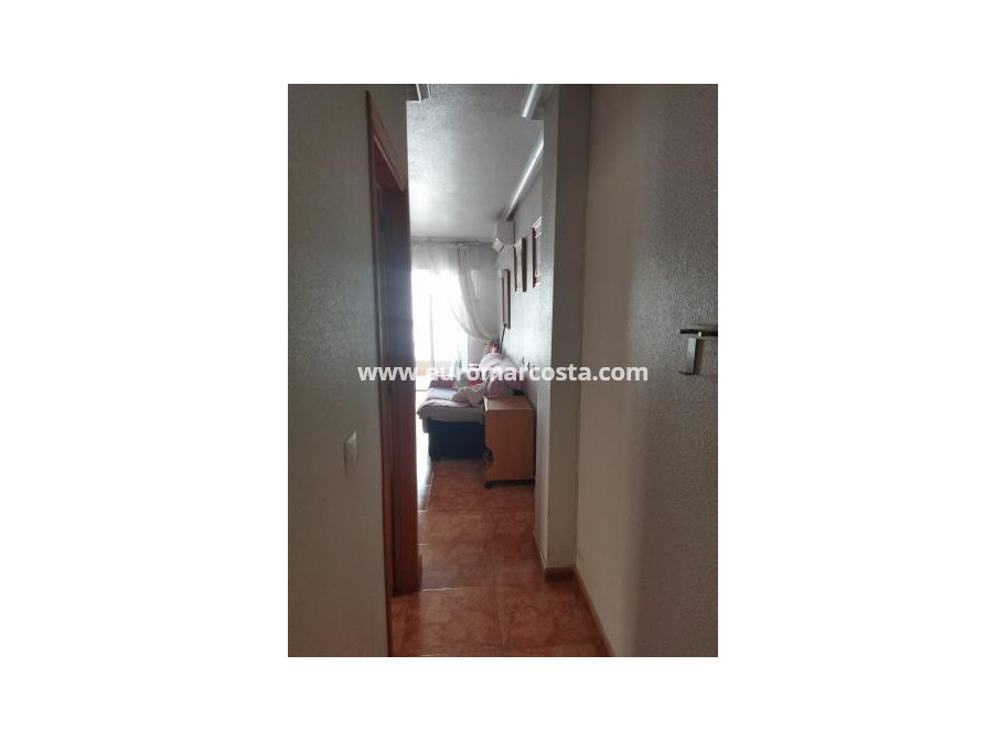 Venta - Apartamento / piso - Torrevieja - TORREVIEJA