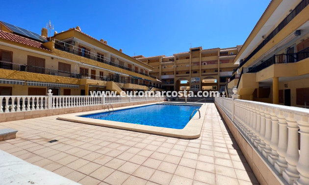 Venta - Apartamento / piso - La Mata