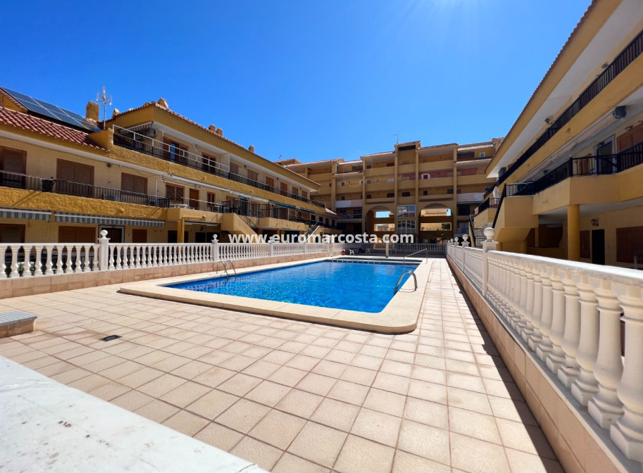 Venta - Apartamento / piso - La Mata