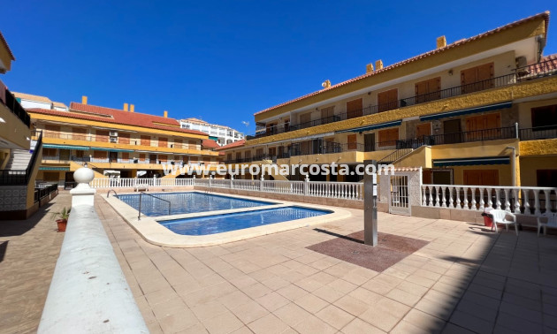 Venta - Apartamento / piso - La Mata