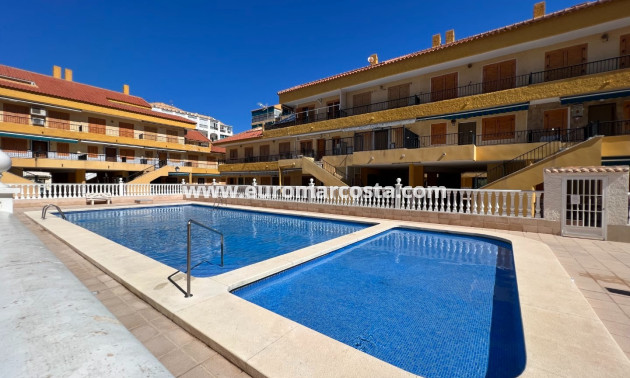 Venta - Apartamento / piso - La Mata