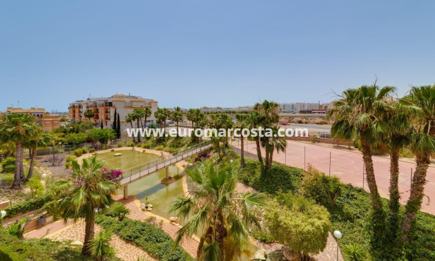 Venta - Apartamento / piso - Orihuela Costa