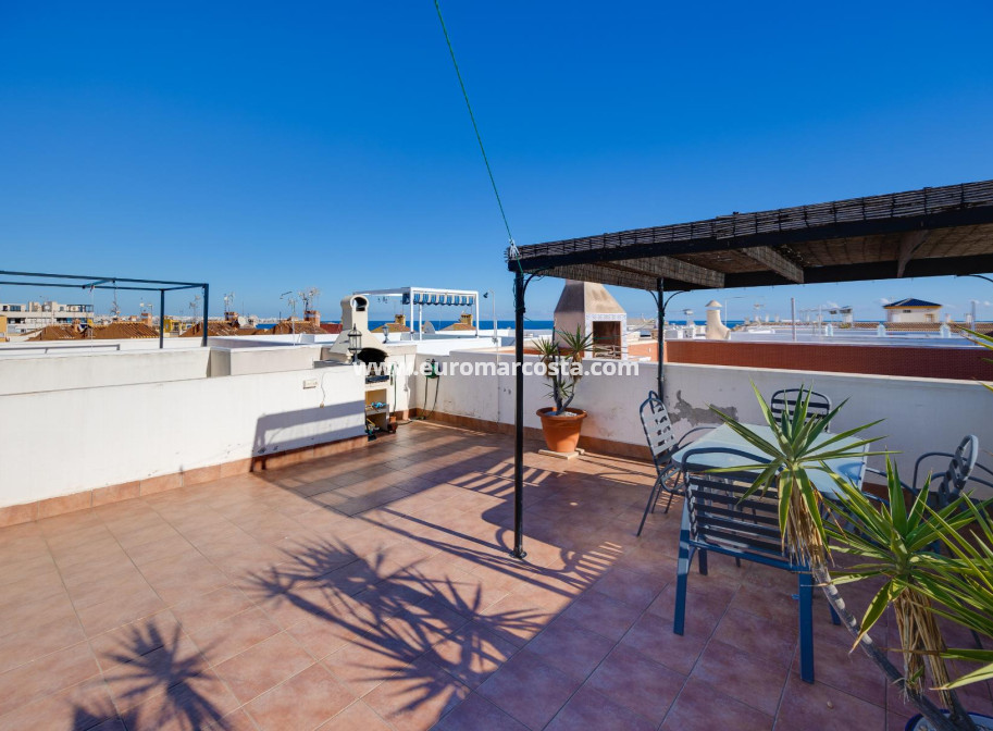 Venta - Apartamento / piso - Torrevieja - TORREVIEJA