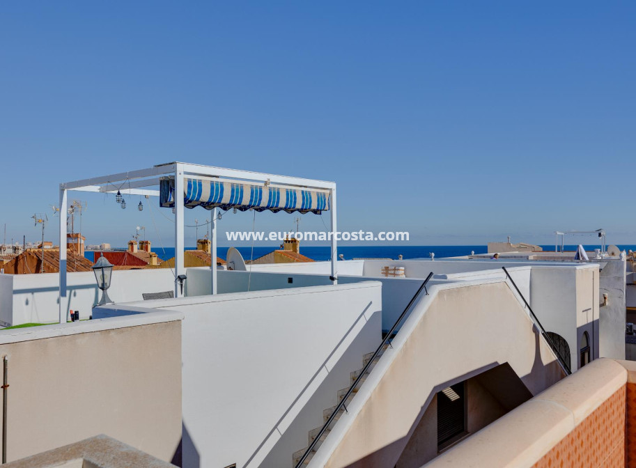 Venta - Apartamento / piso - Torrevieja - TORREVIEJA