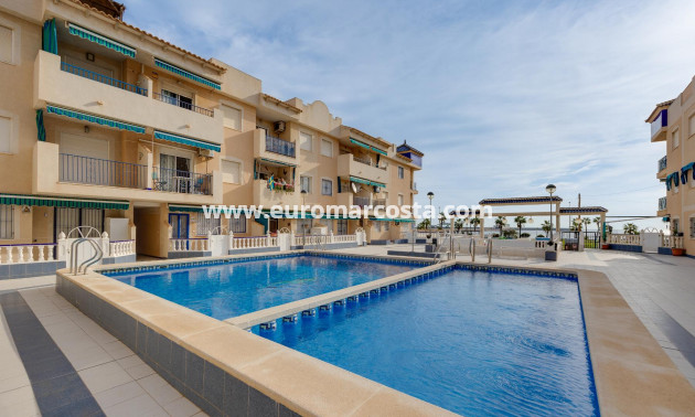 Venta - Apartamento / piso - Torrevieja - TORREVIEJA