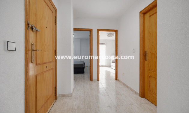 Sale - Apartment / flat - Torrevieja - TORREVIEJA