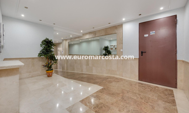 Sale - Apartment / flat - Torrevieja - TORREVIEJA