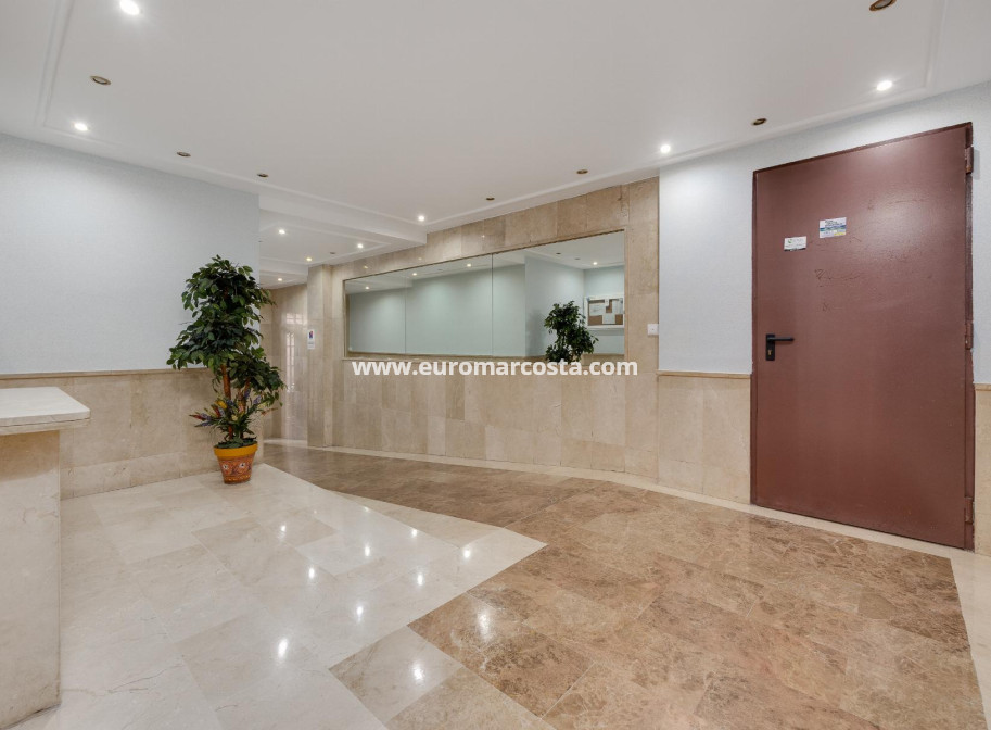 Sale - Apartment / flat - Torrevieja - TORREVIEJA