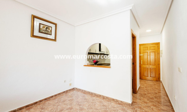 Sale - Apartment / flat - Torrevieja - TORREVIEJA