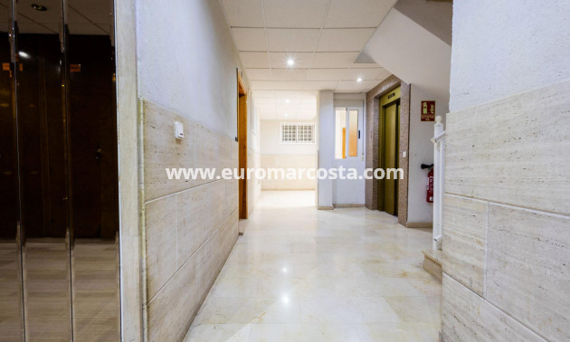 Sale - Apartment / flat - Torrevieja - TORREVIEJA