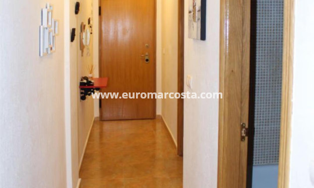 Sale - Apartment / flat - Almoradi - Comunidad valenciana