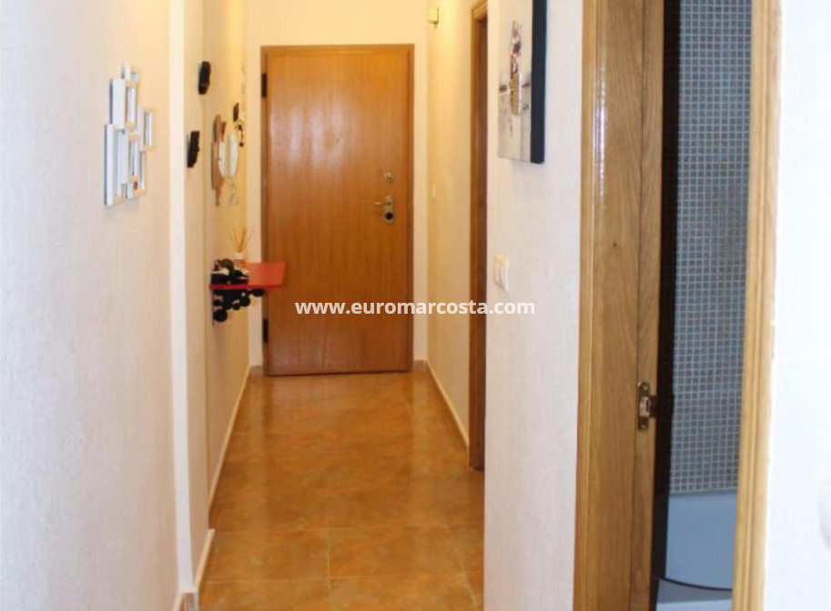 Sale - Apartment / flat - Almoradi - Comunidad valenciana