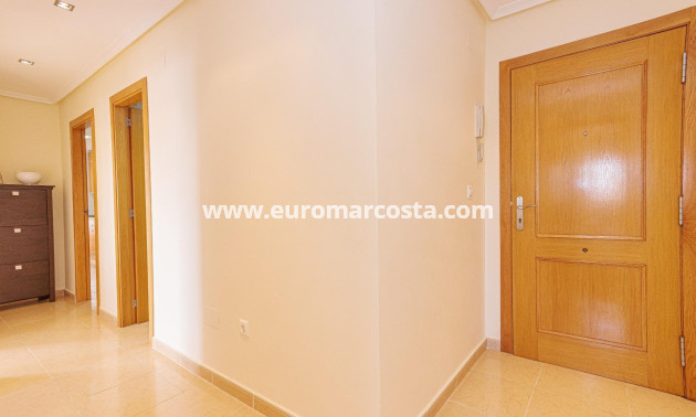 Sale - Apartment / flat - Torrevieja - TORREVIEJA