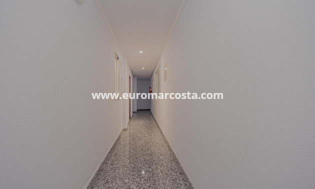 Sale - Apartment / flat - Torrevieja - TORREVIEJA