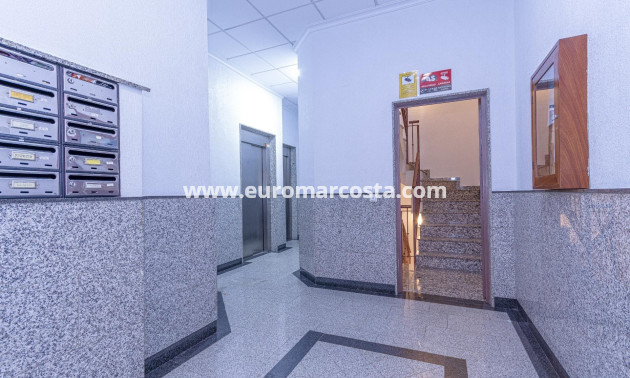 Sale - Apartment / flat - Torrevieja - TORREVIEJA