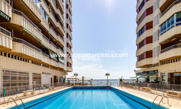 Sale - Apartment / flat - Torrevieja - TORREVIEJA