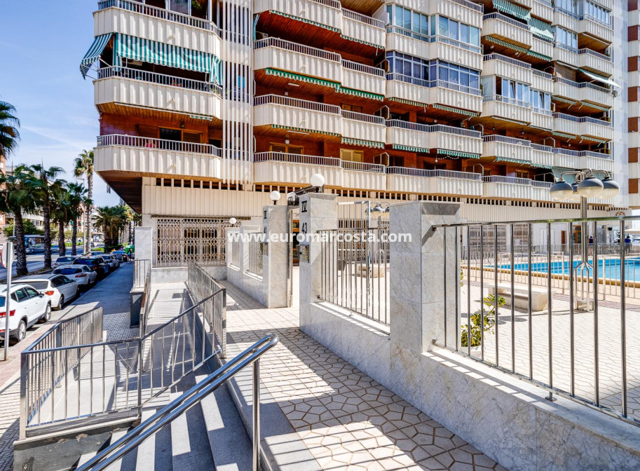 Sale - Apartment / flat - Torrevieja - TORREVIEJA