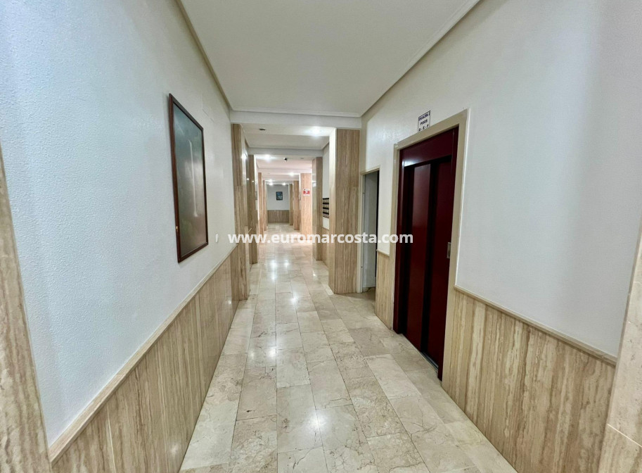 Venta - Apartamento / piso - Torrevieja - TORREVIEJA