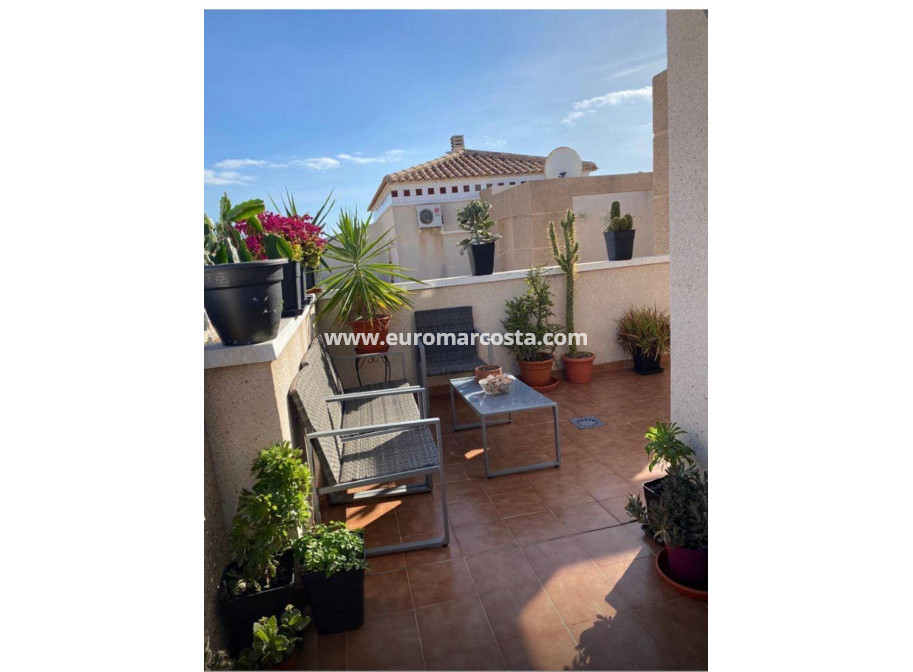 Venta - Villa - Torrevieja - TORREVIEJA