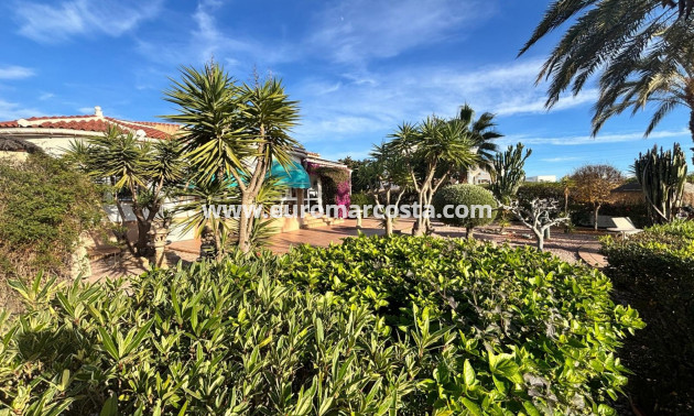 Venta - Detached House / Villa - Ciudad Quesada - CENTRO