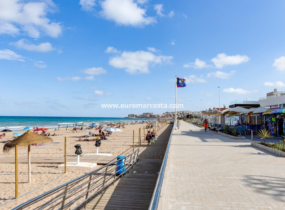 Venta - Quad - Torrevieja - TORREVIEJA