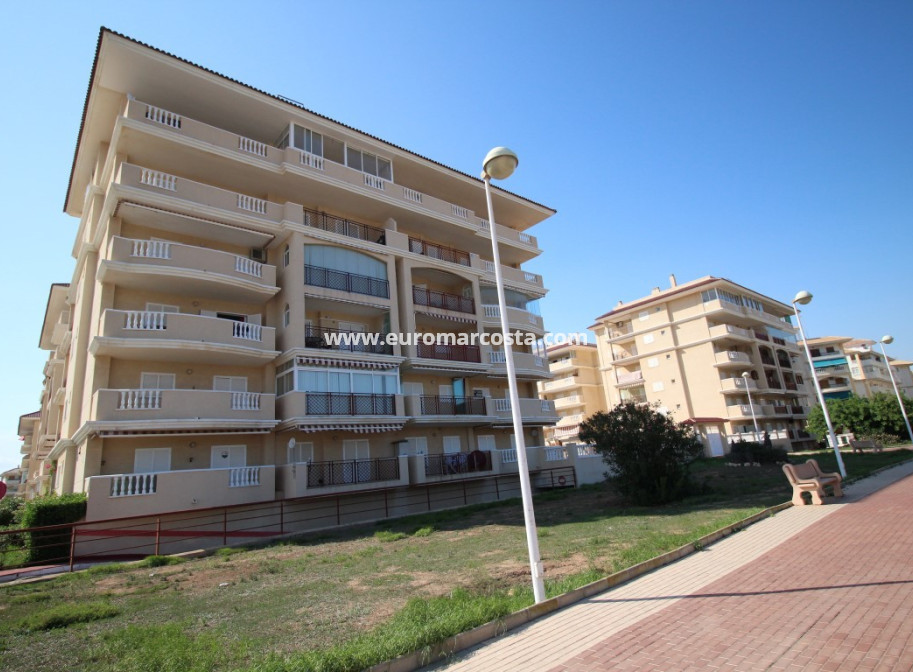 Sale - Apartment / flat - La Mata