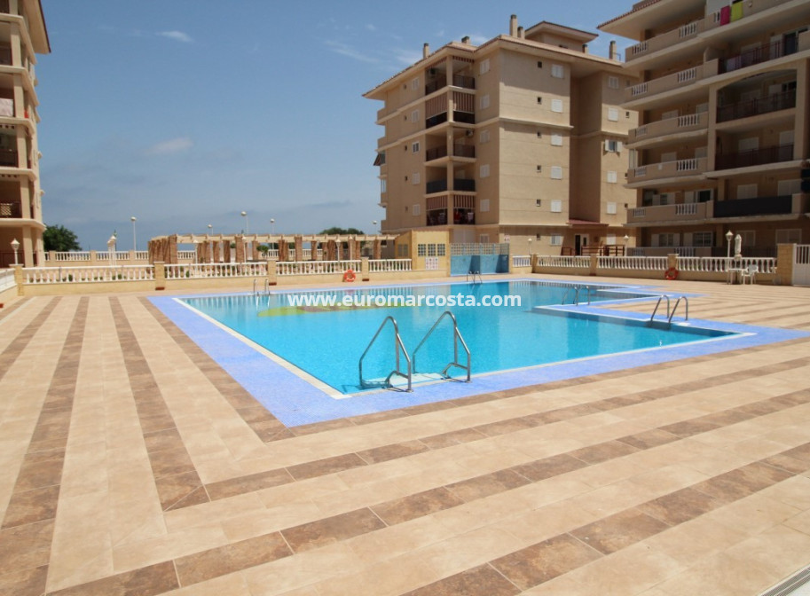 Sale - Apartment / flat - La Mata