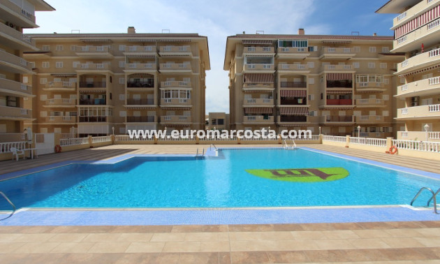 Sale - Apartment / flat - La Mata