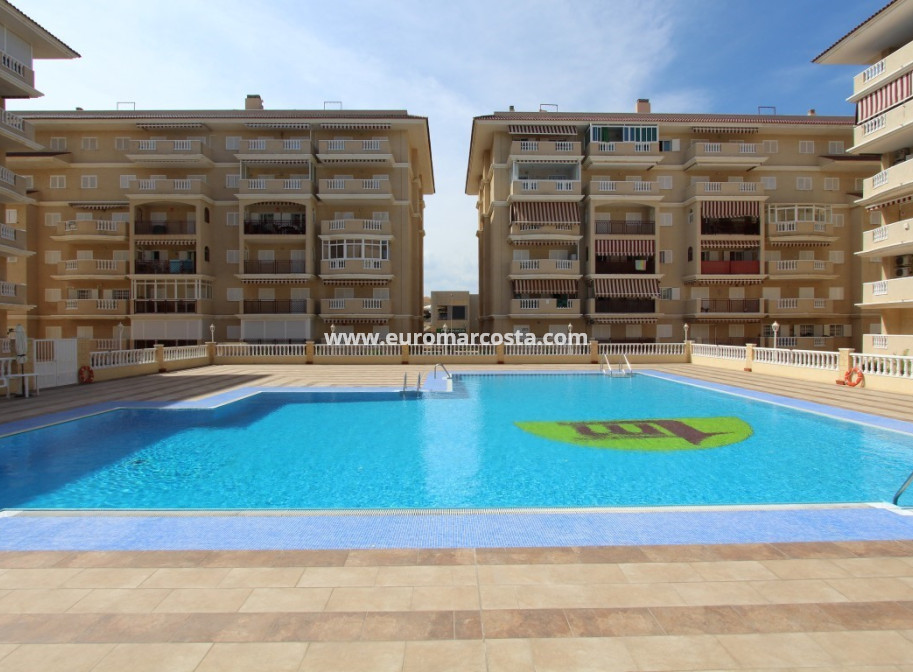 Sale - Apartment / flat - La Mata