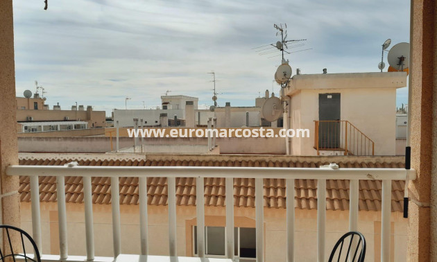 Venta - Apartamento / piso - Torrevieja - TORREVIEJA