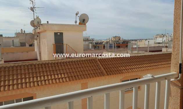 Venta - Apartamento / piso - Torrevieja - TORREVIEJA