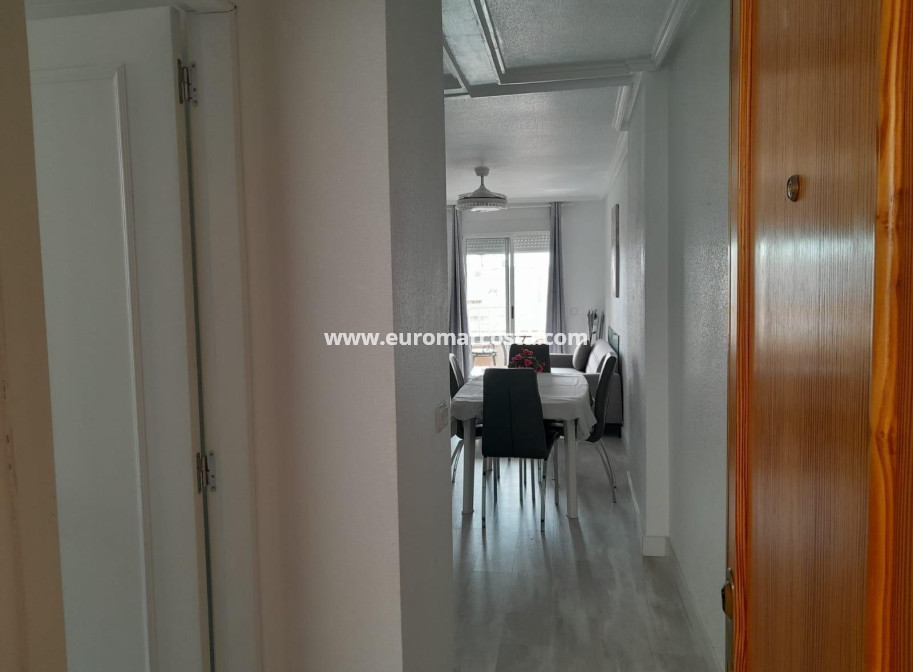 Venta - Apartamento / piso - Torrevieja - TORREVIEJA