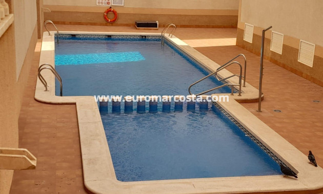 Venta - Apartamento / piso - Torrevieja - TORREVIEJA