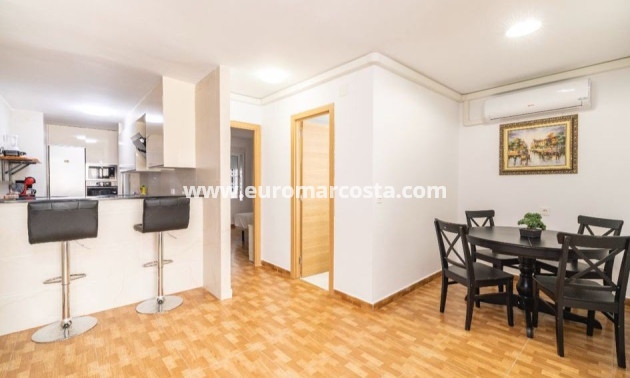 Sale - Apartment / flat - La Mata