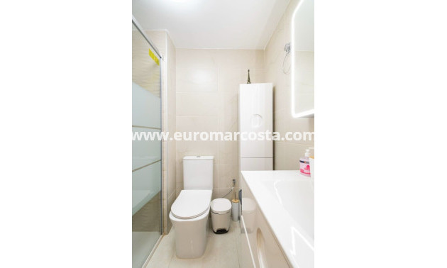 Sale - Apartment / flat - La Mata