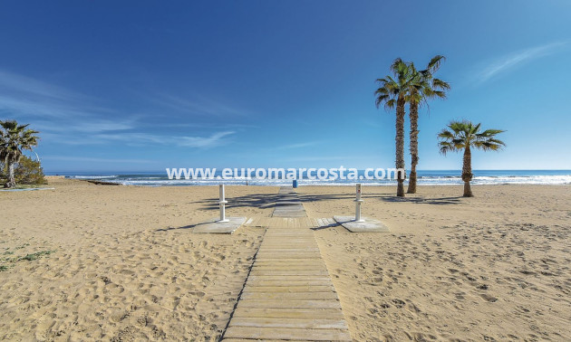 Sale - Apartment / flat - La Mata