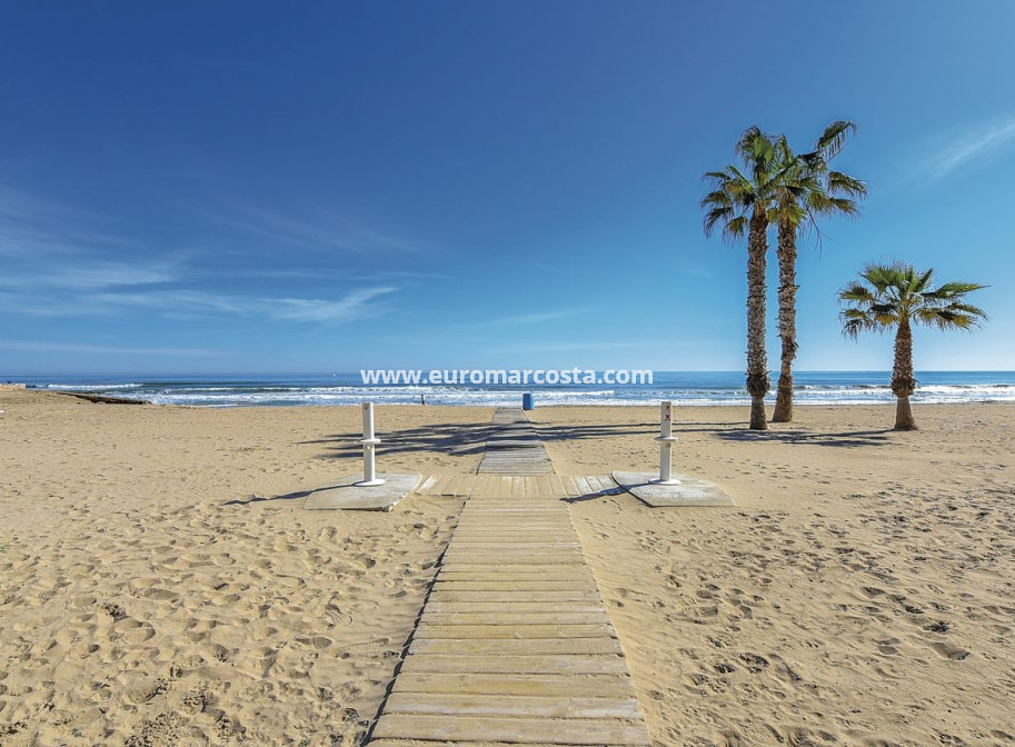 Sale - Apartment / flat - La Mata