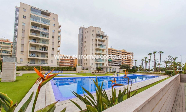 Sale - Apartment / flat - La Mata