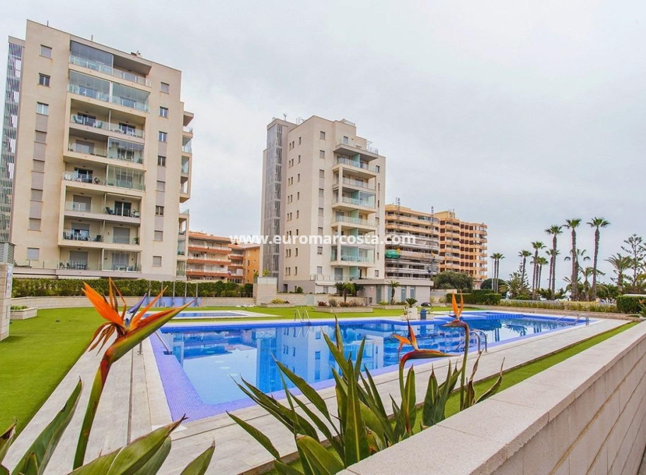 Venta - Apartamento / piso - La Mata