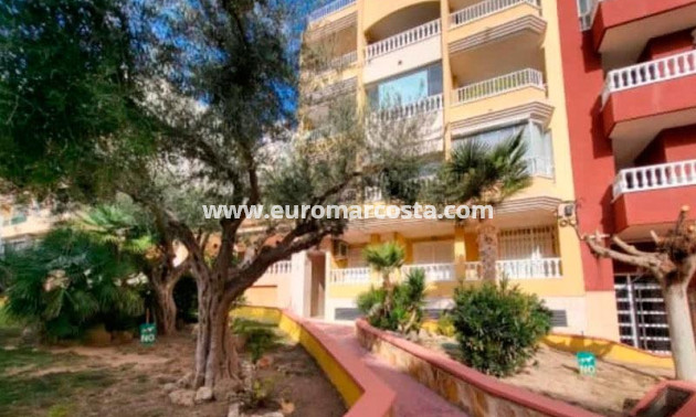Sale - Penthouse - Torrevieja - TORREVIEJA