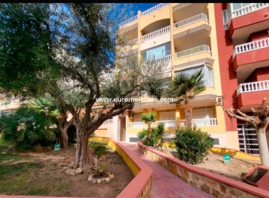 Sale - Penthouse - Torrevieja - TORREVIEJA
