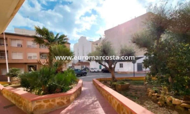 Sale - Penthouse - Torrevieja - TORREVIEJA