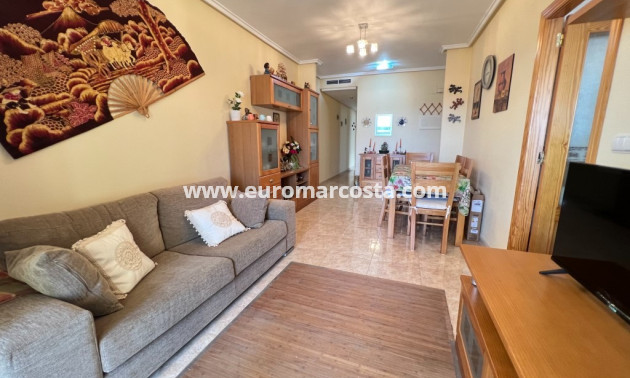 Venta - Apartamento / piso - Guardamar del Segura