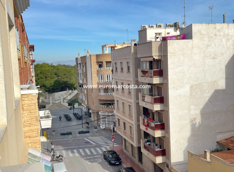 Venta - Apartamento / piso - Guardamar del Segura