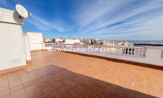 Venta - Apartamento / piso - Guardamar del Segura